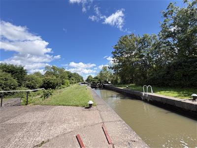 Picture 19